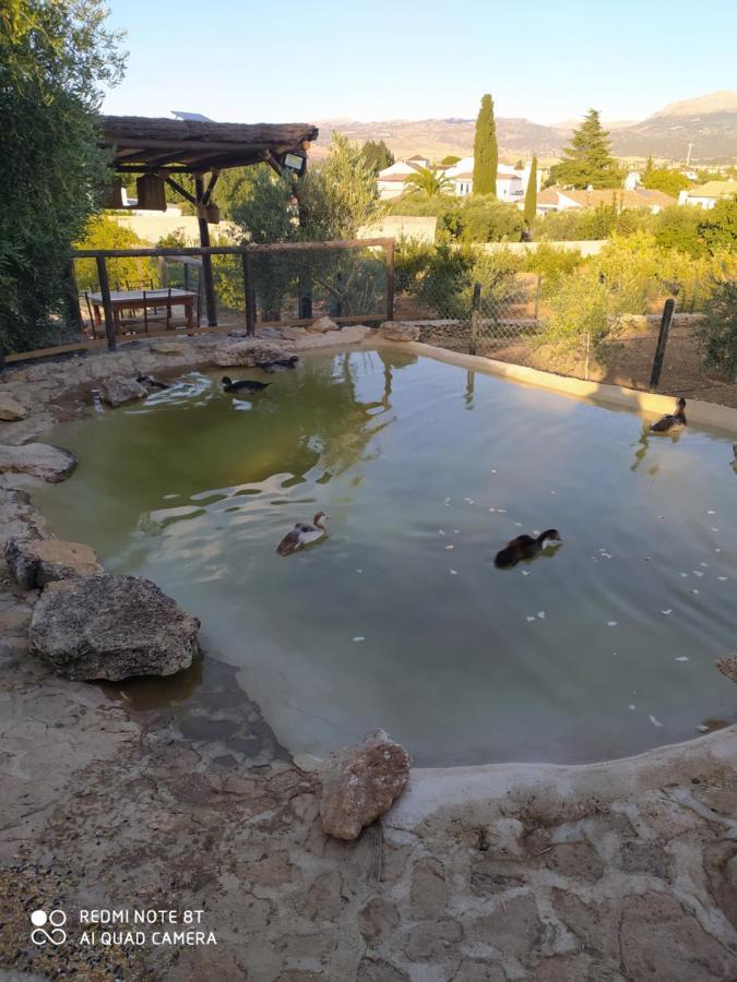 Alojamiento Rural La Pila Ronda Buitenkant foto